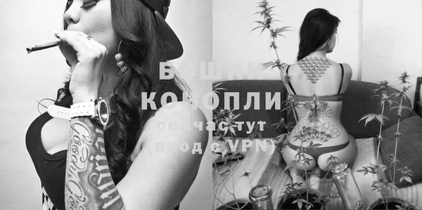 бошки Хадыженск