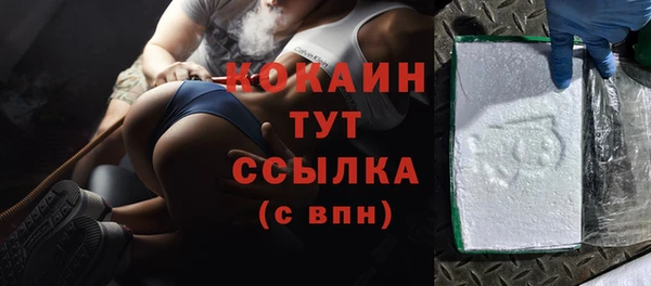 прущие грибы Чердынь