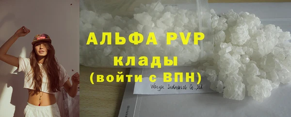 стаф Чекалин