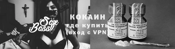 стаф Чекалин