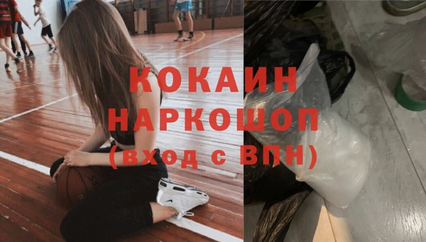 прущие грибы Чердынь