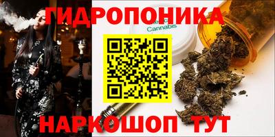 каннабис Будённовск