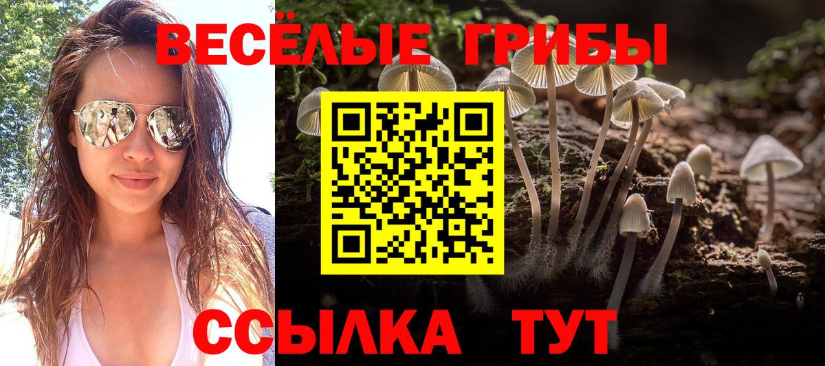 Галлюциногенные грибы мухоморы  Вход с VPN  Владимир 