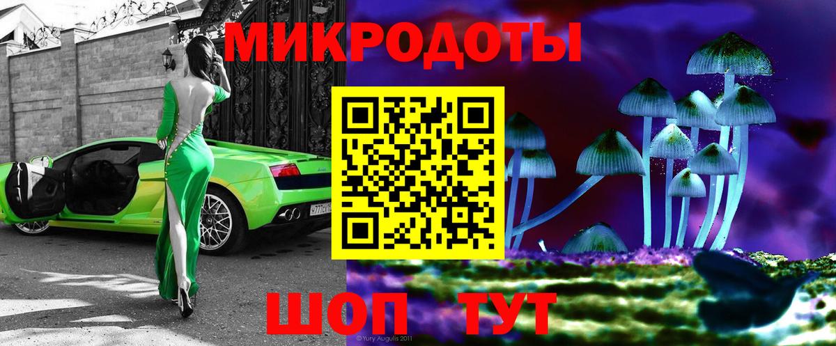 Псилоцибиновые грибы прущие грибы Владимир