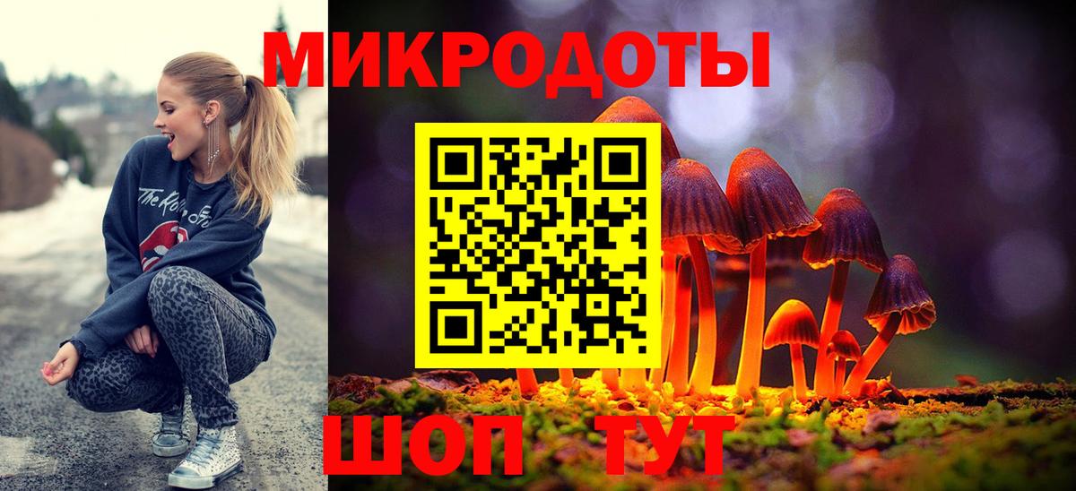 Галлюциногенные грибы Psilocybine cubensis Владимир