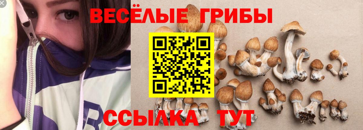 Псилоцибиновые грибы Cubensis  Владимир 
